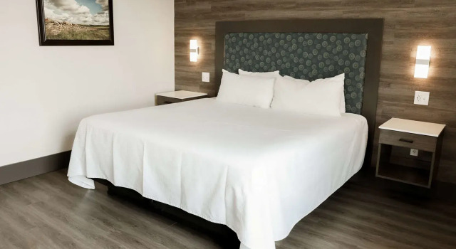 The Oread Lawrence, Tapestry Collection by Hilton