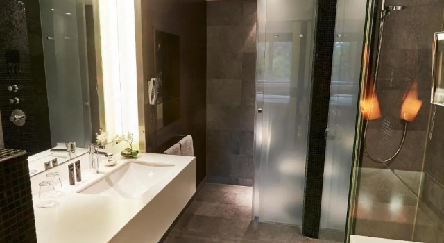 Полулюкс Steigenberger Airport Hotel Frankfurt
