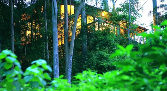 Бунгало Crystal Creek Rainforest Retreat