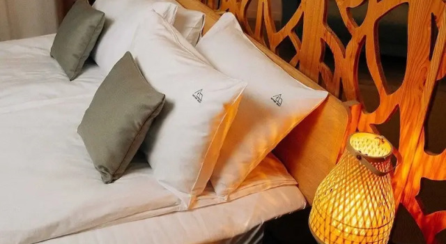 Студия Nature Nest Bran