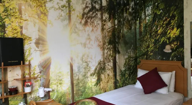 Одноместный номер Standard Nyton Hotel