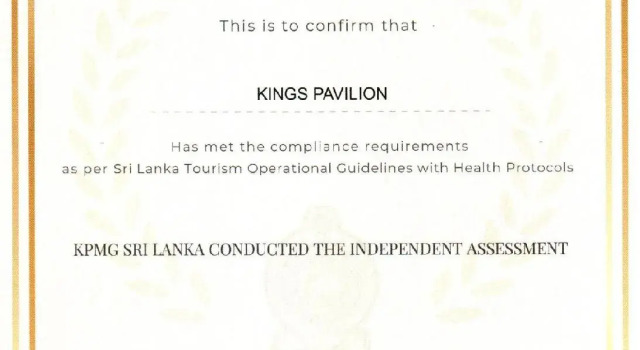 Одноместный номер Deluxe Kings Pavilion Luxury Hotel