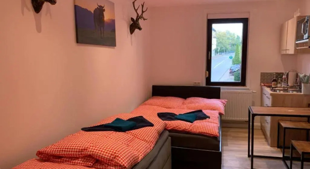 Двухместный номер Standard Hotel Waldhorn