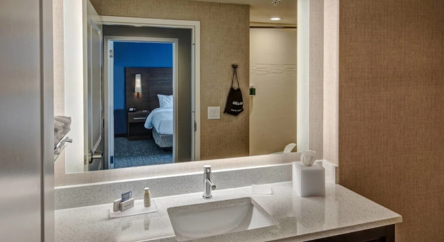 Люкс Residence Inn by Marriott Nashville at Opryland
