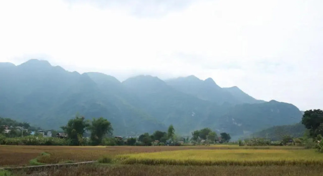 Номер Standard Mai Chau Countryside Homestay