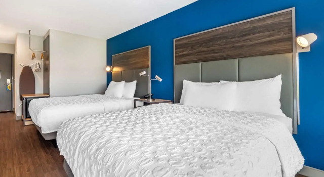 Номер Standard Tru By Hilton Lexington Hamburg
