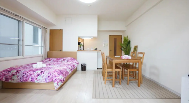 Номер Standard IKminami6jo residence 803