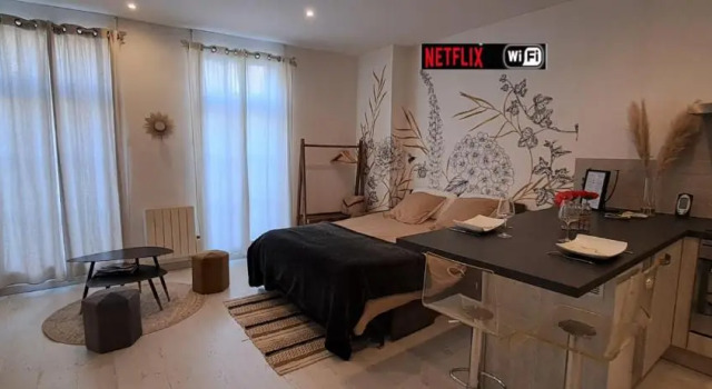 Les Arcades Studio Coeur de Ville, Cholet, Wi-fi, Netflix, Canal+, Забронировать Отель Шоле Замок Пюи-дю-Фу, рядом с Выставочный парк Meilleraie
