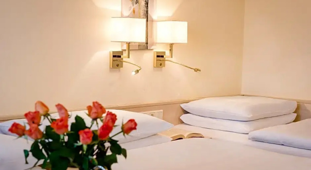 Номер Standard Hotel Scherer