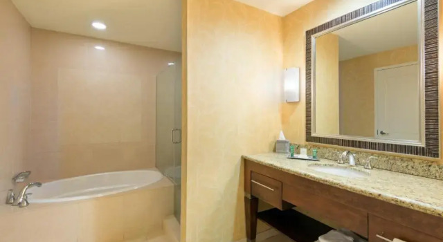 Номер Standard c 1 комнатой Hilton Branson Convention Center