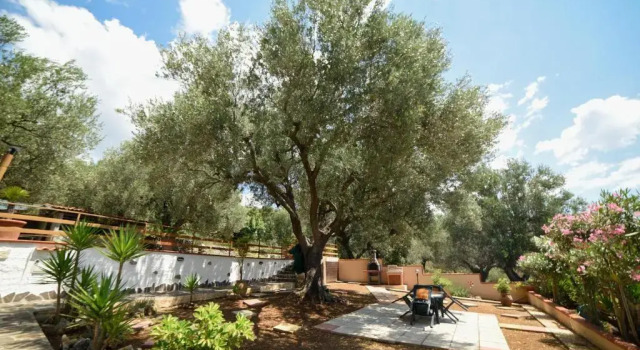 casa vacanze Villa BAIA-LUNA, Buchen Sie Hotel Camerota Cilento