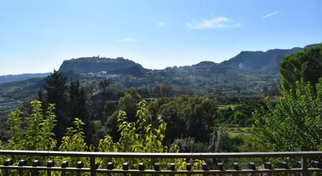 Номер Standard Azienda Agrituristica Biologica Il Querceto