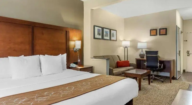 Номер Standard Comfort Suites Raleigh Walnut Creek