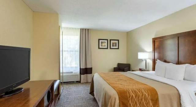 Comfort Inn Olive Branch, Buchen Sie Hotel Olive Branch Mississippi