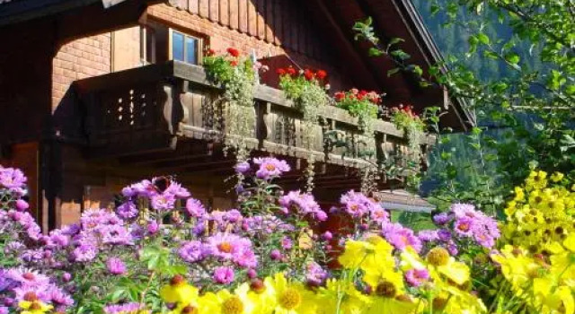 Haus Pfannenhölzer, Réserver Hôtel Bad Hindelang Bavière