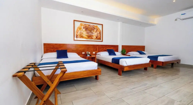 Семейный номер Standard Hotel Ninfa