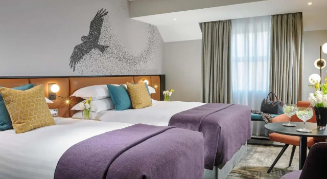 Трёхместный семейный номер Standard Shannon Springs Hotel