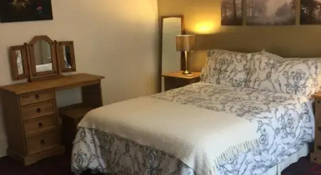 Номер Deluxe Tanglin Guest House