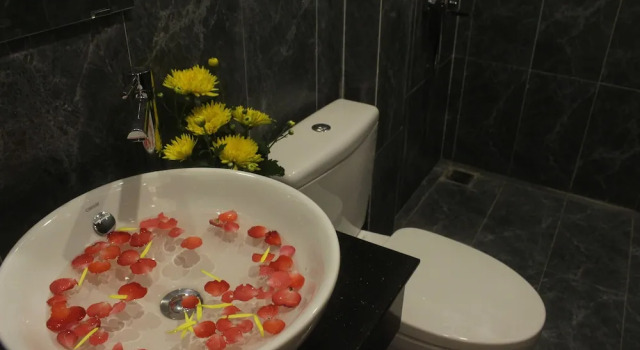 Двухместный номер Standard с видом на сад Hoi An Green View Homestay & Villa
