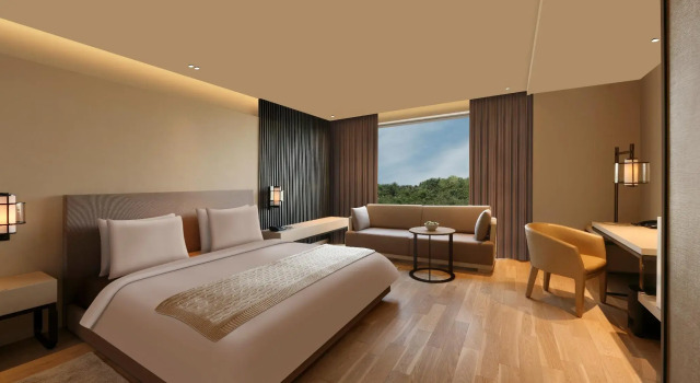 Люкс Executive Roseate House New Delhi