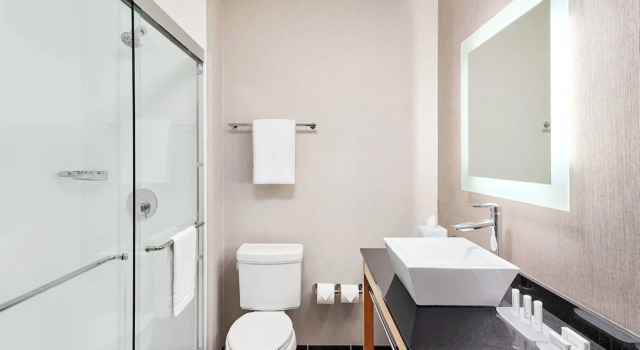 1 soveværelse i suite med bjergudsigt Cambria Suites Roanoke