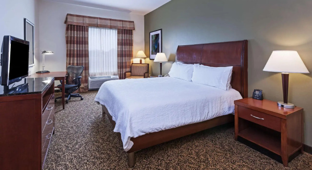 Двухместный номер Standard Hilton Garden Inn Corpus Christi