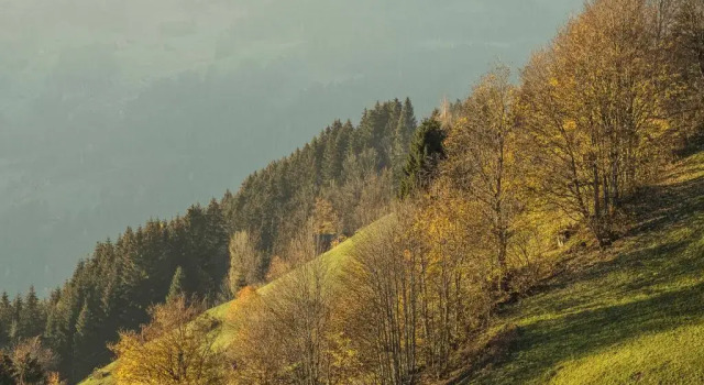 Hanserhof, Забронировать Апартаменты/квартира Апартаменты Тироля, Апартаменты/квартира