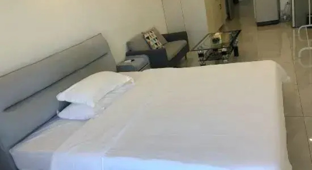 Biznes suite Aijia Apartment (Wuyue Plaza)