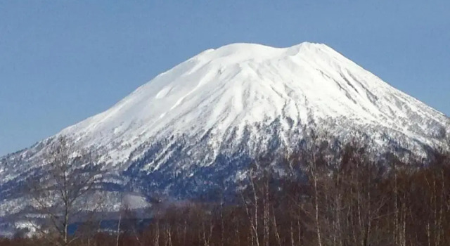 Одноместный номер Standard Hotel Resort Inn Niseko
