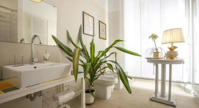 Номер Comfort Babbo Guest House