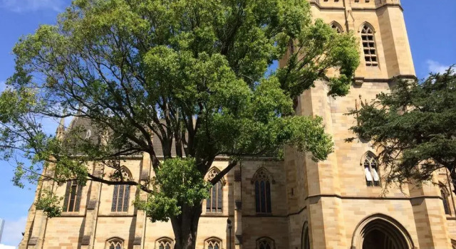 St John's College, Забронировать Отель Кэмпердаун Сидней, рядом с Университет Сиднея