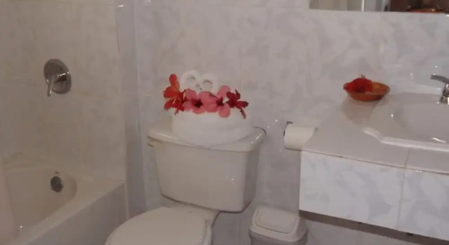 Номер Standard с видом на сад Ocean Breeze Hotel