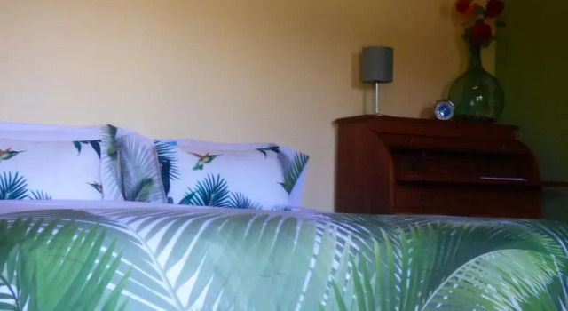 El Pirguan Holiday House, your oasis in La Gomera