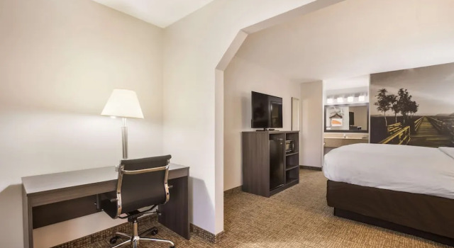 Двухместный люкс Цокольный этаж Clarion Pointe Forsyth I-75