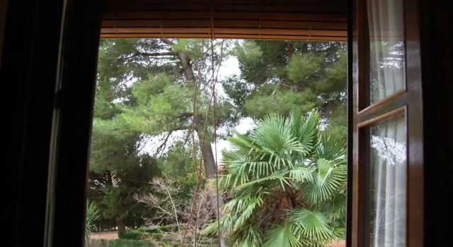 Двухместный номер Standard Hotel El Cortijo de Daimiel