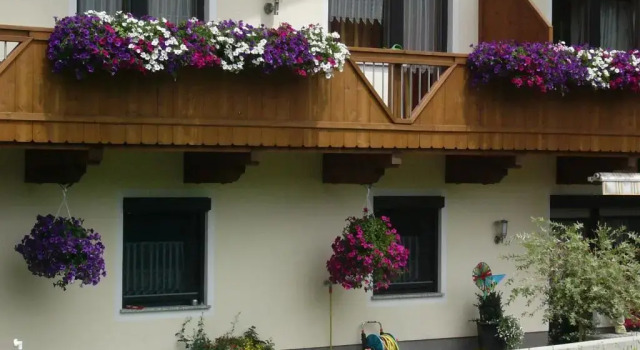 Апартаменты Appartement Hochmuth