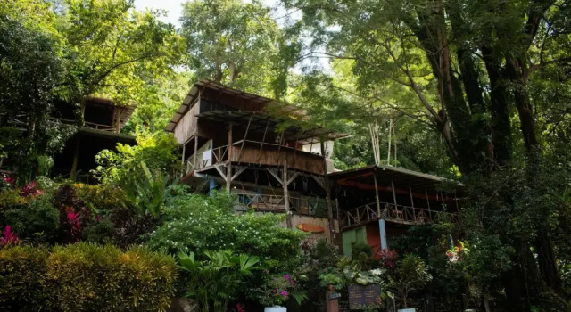Hostel Plinio, Rezervovat Hostel Levné hotely v Puntarenas