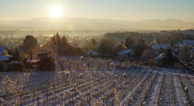 Weingut Landmann Ferienwohnungen