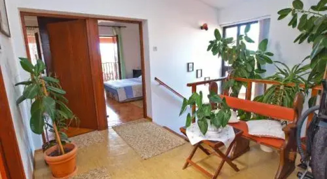 Apartments Ivan 1024