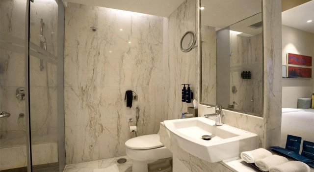 Номер Deluxe Radisson Blu Hotel Amritsar