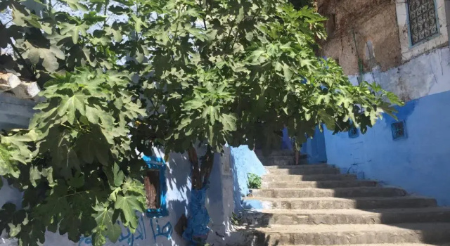 Номер Standard La Petite Chefchaouen