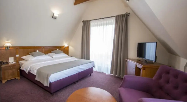 Двухместный номер Comfort Hotel REDYK Ski&Relax - góry na wyciągnięcie ręki