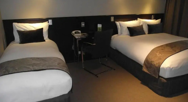 Двухместный номер Standard Scenic Hotel Franz Josef Glacier