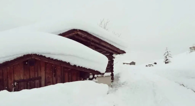 Апартаменты Alpenchalet Zillertal