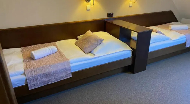 Двухместный номер Standard Zámecký Hotel Zlatý Orel