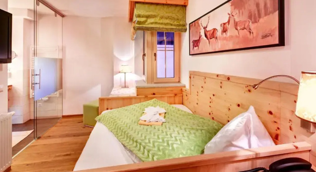 Номер Standard Biohotel Castello Königsleiten