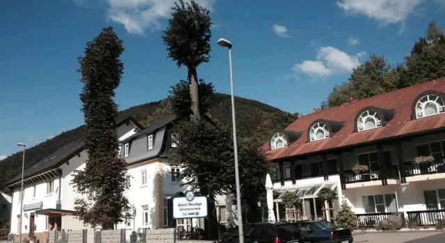 Hotel - Gasthof Hüttensteinach, Varaa Hotelli Steinach Thüringen