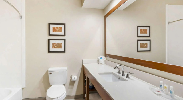 Двухместный люкс Comfort Inn Summerville - Charleston