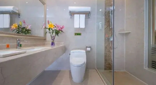 Люкс Deluxe Vienna Hotel (Qingyuan Zhongshan Park Century Plaza)