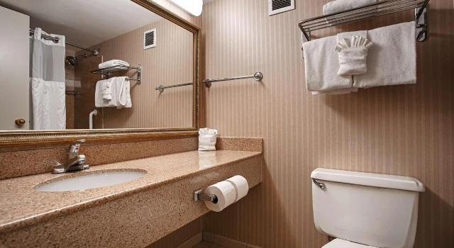 Люкс Best Western Premier Rockville Hotel & Suites